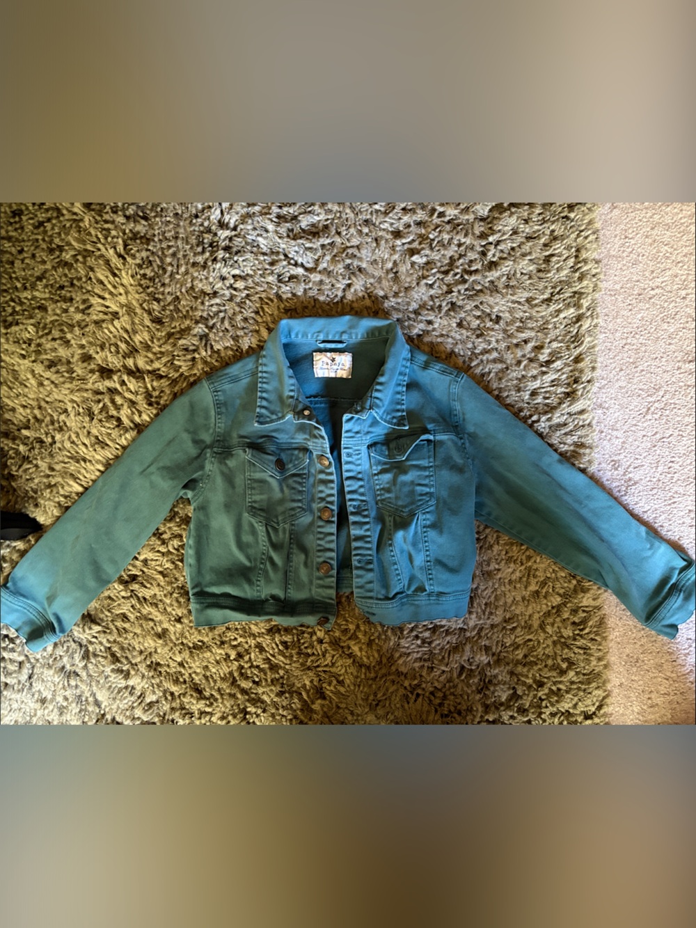 Papaya Teal Cotton Jacket - Solid Teal Shade
